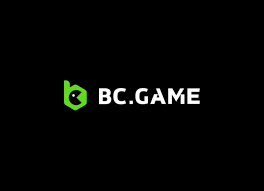 Exploring BC App Features and Functions for a Seamless Experience