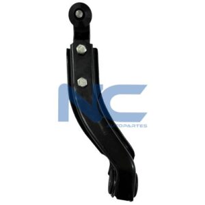TRAPECIO DEL INF DER S/ROT