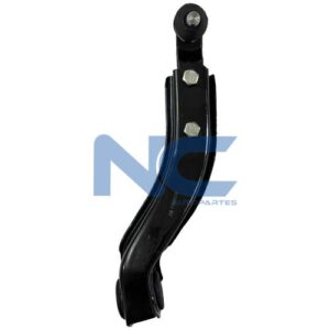 TRAPECIO DEL INF IZQ S/ROT