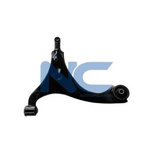 TRAPECIO DEL INF DER S/ROT