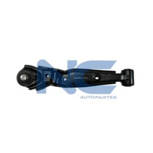 TRAPECIO DEL INF IZQ C/ROT