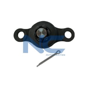 ROTULA INF